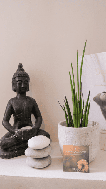 Ayurveda Praxis Auszeit Sandesneben Detail